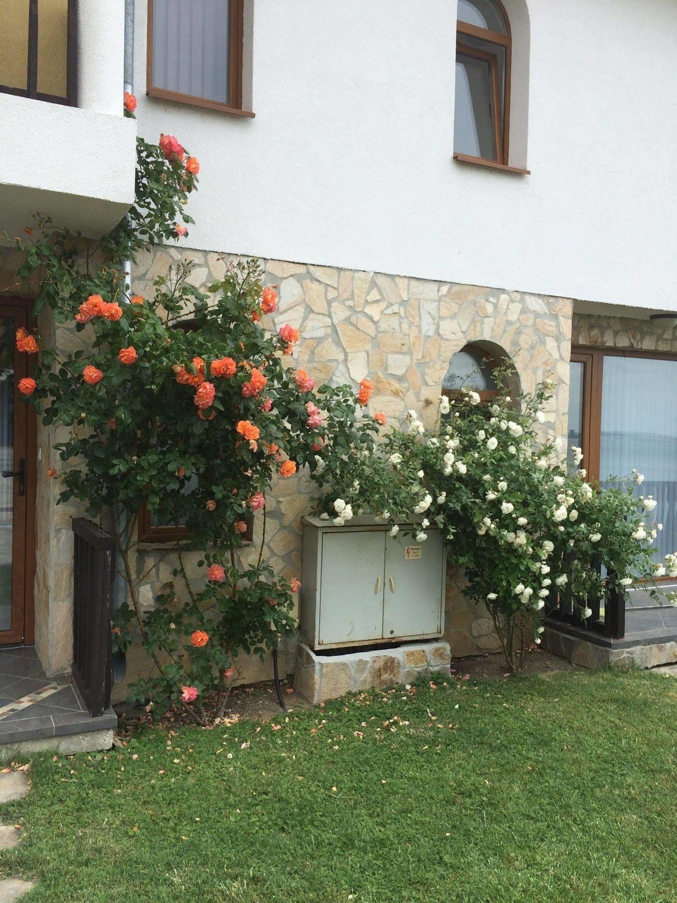 Tsb Sun Coast Apartments スヴェティ・ヴラス エクステリア 写真